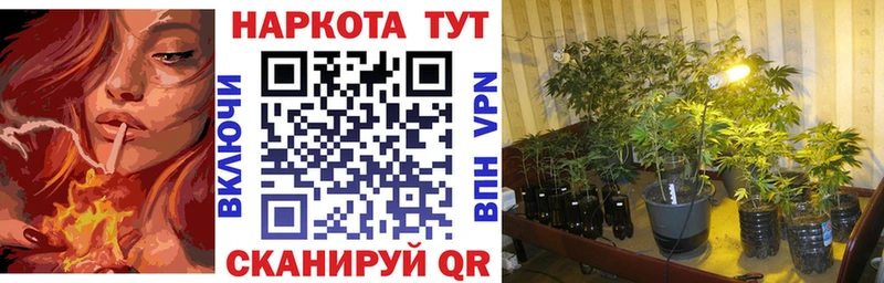 Как найти закладки Сургут Каннабис А ПВП Кодеин блэк спрут вход Меф мяу мяу Метамфетамин Cocaine