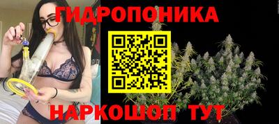 СК Гусиноозёрск