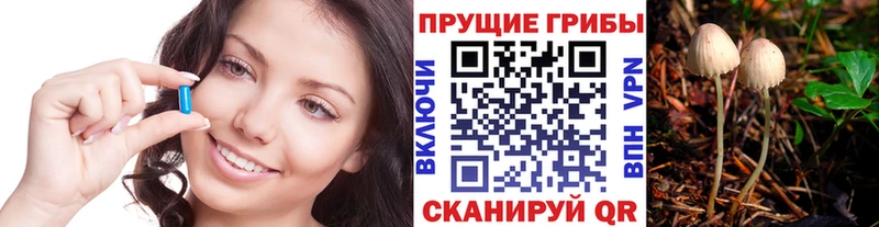 Галлюциногенные грибы Magic Shrooms  Сургут 