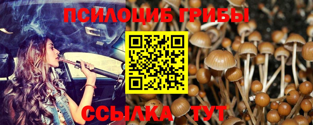 Псилоцибиновые грибы Psilocybe  Вход с VPN  Псилоцибиновые грибы MAGIC MUSHROOMS  Сургут 