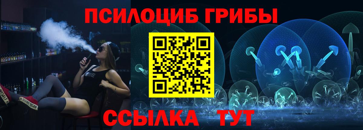Псилоцибиновые грибы Psilocybine cubensis Сургут